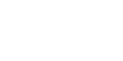 Selecsa Sistemas Electromecánicos Logo
